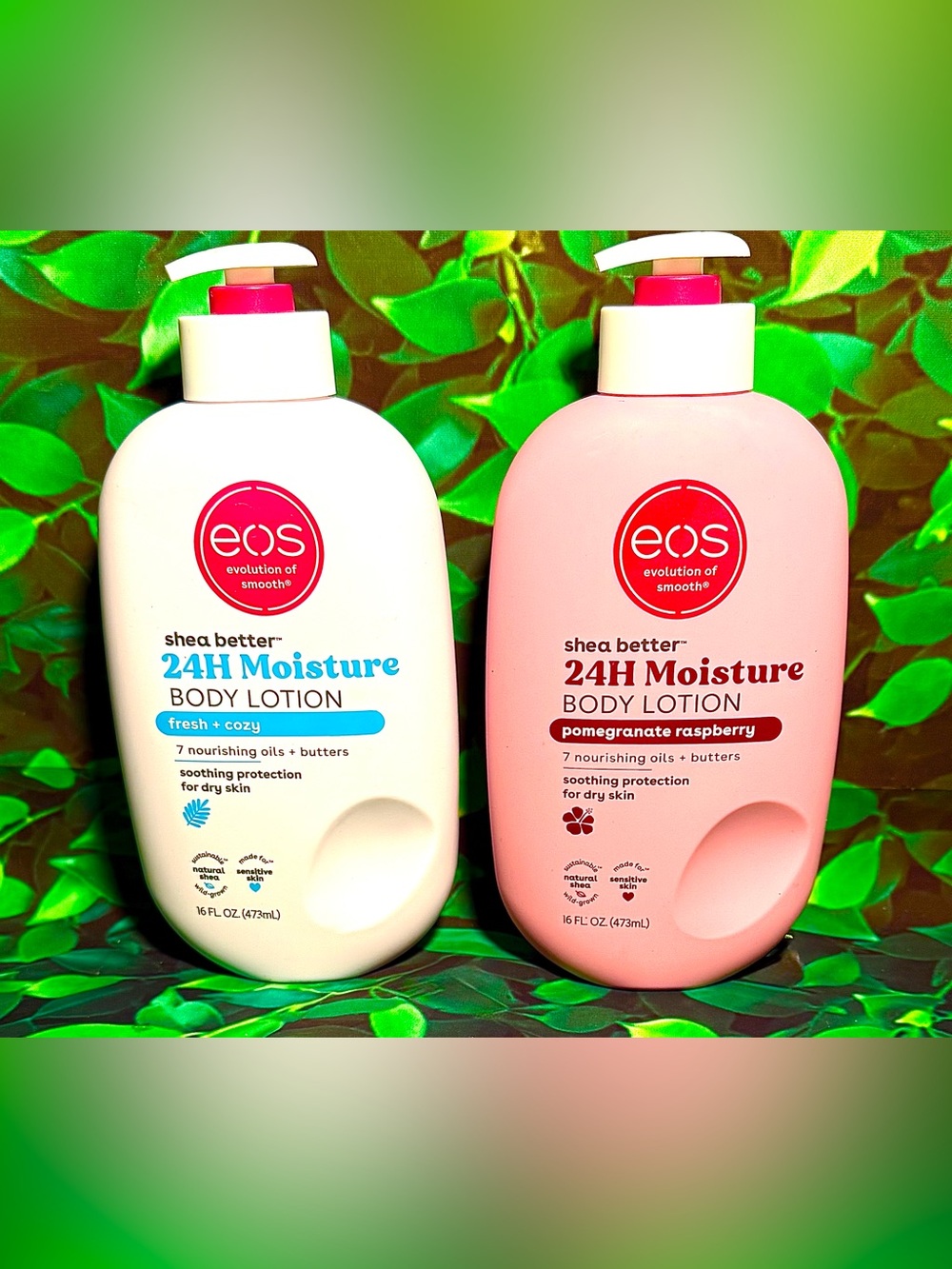 2 EOS Body Lotions Fresh + Cozy and Pomegranate Raspberry Scents